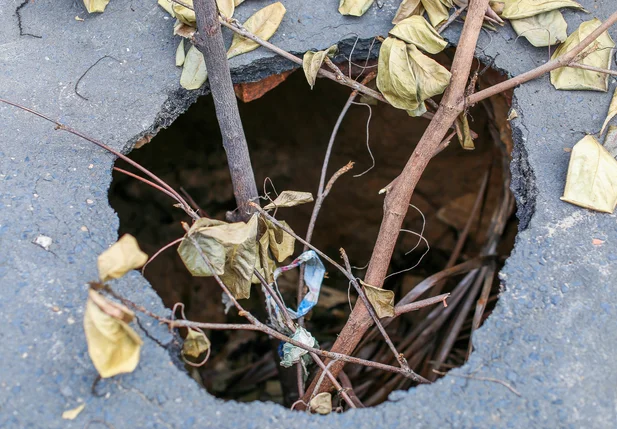 Moradores usam galhos de árvore para sinalizar buraco