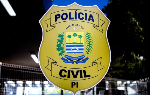 Polícia Civil do Piauí