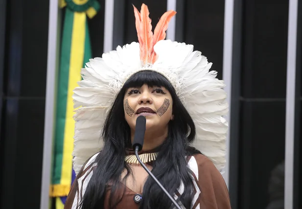 Deputada Célia Xakriabá (PSOL - MG)