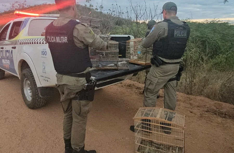 Policiais na ação