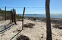 Cajueiro da Praia