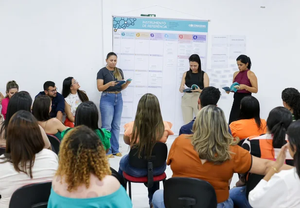 Instrumento de referência dos serviços farmacêuticos na Atenção Básica